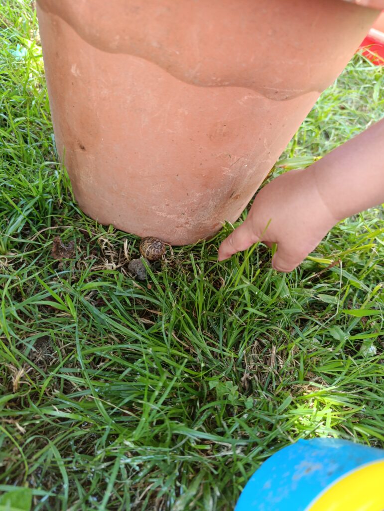 Nuestro espacio img 20250709 143825