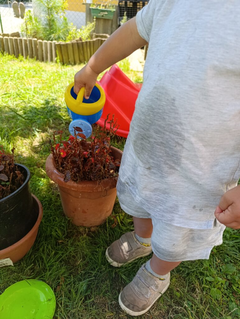 Nuestro espacio img 20250709 144009