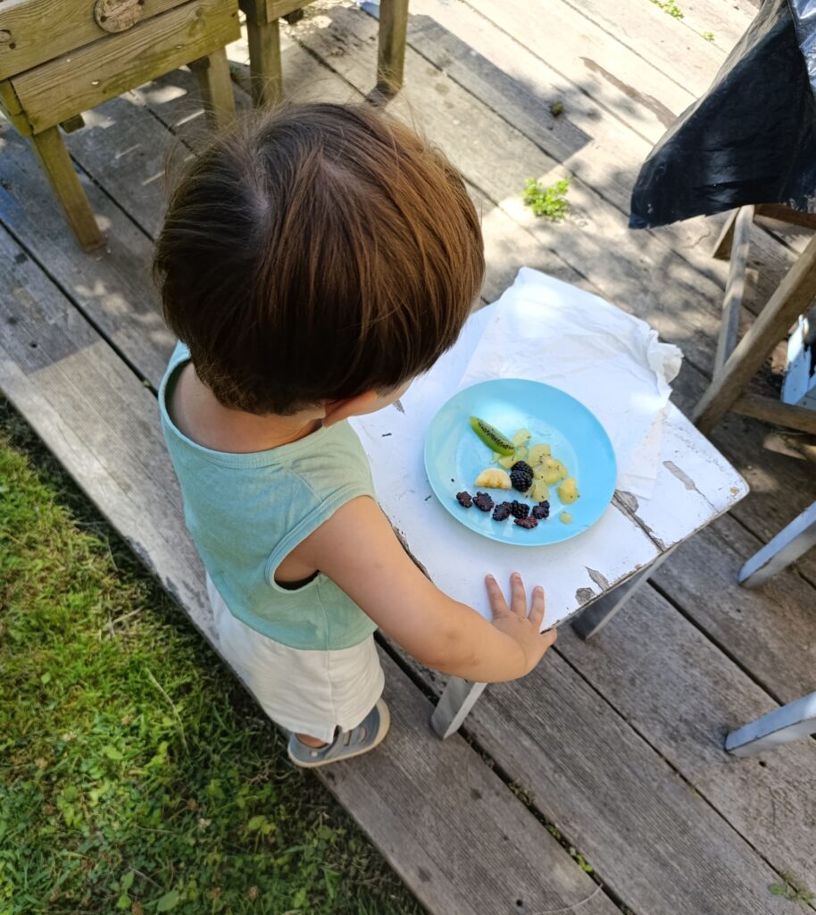 Nuestro espacio img 20250715 092457