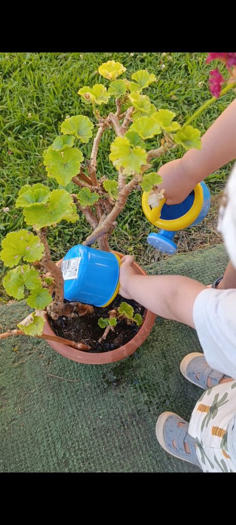 Nuestro espacio screenshot 2025 07 15 09 34 09 155 com.miui.mediaviewer